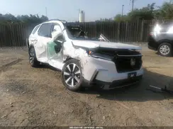 5FNYG1H70RB038106 2024 HONDA PILOT