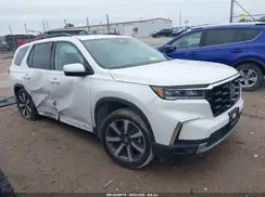 5FNYG1H70RB044262 2024 HONDA PILOT