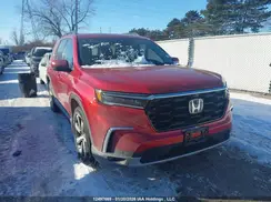 5FNYG1H71PB504820 2023 HONDA PILOT