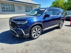 5FNYG1H71RB026773 2024 HONDA PILOT