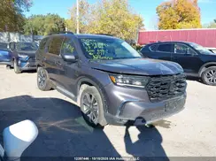 5FNYG1H71SB500646 2025 HONDA PILOT