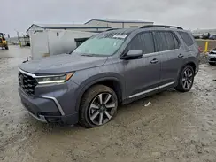5FNYG1H72RB003986 2024 HONDA PILOT