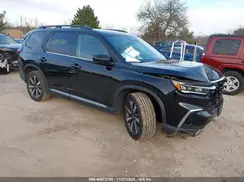5FNYG1H72RB007519 2024 HONDA PILOT