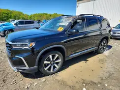 5FNYG1H72RB022859 2024 HONDA PILOT