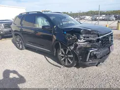 5FNYG1H72RB032372 2024 HONDA PILOT