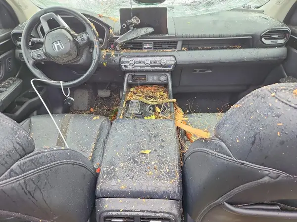 5FNYG1H72RB036745 2024 HONDA PILOT - Image 8