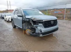 5FNYG1H72RB043484 2024 HONDA PILOT
