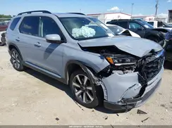5FNYG1H73RB026032 2024 HONDA PILOT