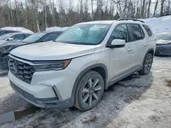 5FNYG1H73RB501159 2024 HONDA PILOT