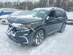 5FNYG1H75PB503931 2023 HONDA PILOT