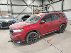 5FNYG1H76PB501170 2023 HONDA PILOT