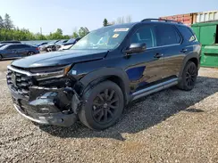 5FNYG1H76PB504067 2023 HONDA PILOT