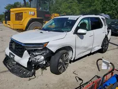 5FNYG1H76RB023061 2024 HONDA PILOT
