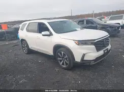 5FNYG1H76SB014396 2025 HONDA PILOT