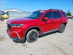 5FNYG1H77RB023196 2024 HONDA PILOT
