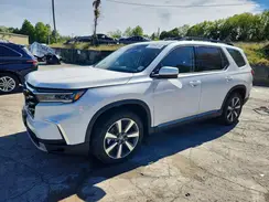 5FNYG1H77RB027359 2024 HONDA PILOT