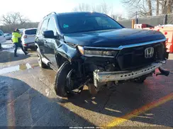 5FNYG1H77RB035266 2024 HONDA PILOT