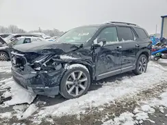 5FNYG1H78PB014732 2023 HONDA PILOT