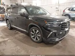 5FNYG1H7XRB023161 2024 HONDA PILOT