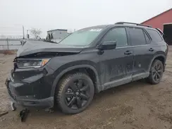 5FNYG1H80PB503800 2023 HONDA PILOT
