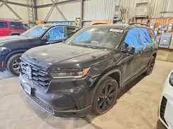 5FNYG1H81RB501038 2024 HONDA PILOT