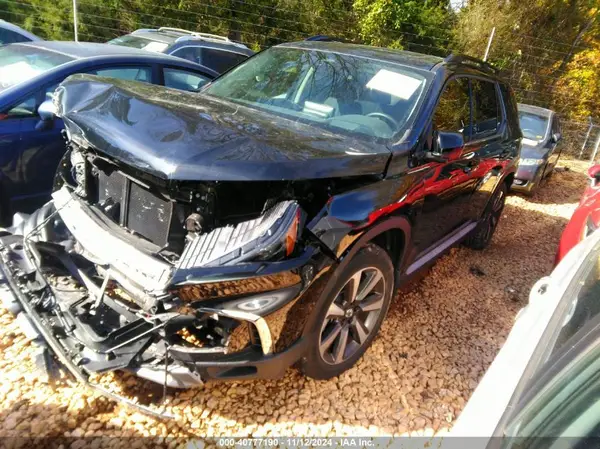 5FNYG1H82RB013667 2024 HONDA PILOT - Image 2