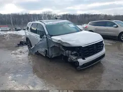 5FNYG1H83PB037232 2023 HONDA PILOT