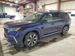 5FNYG1H83RB015427 2024 HONDA PILOT