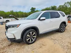 5FNYG1H83RB036276 2024 HONDA PILOT
