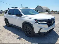 5FNYG1H83RB501462 2024 HONDA PILOT