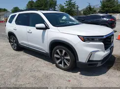 5FNYG1H84PB043170 2023 HONDA PILOT