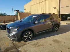 5FNYG1H84RB001262 2024 HONDA PILOT