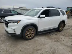 5FNYG1H84RB031538 2024 HONDA PILOT