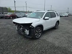 5FNYG1H85PB055926 2023 HONDA PILOT