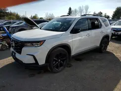 5FNYG1H85PB500956 2023 HONDA PILOT
