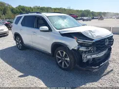 5FNYG1H85RB014506 2024 HONDA PILOT