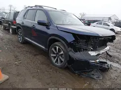 5FNYG1H85RB030799 2024 HONDA PILOT