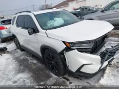 5FNYG1H86PB501985 2023 HONDA PILOT