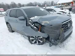 5FNYG1H86RB014191 2024 HONDA PILOT