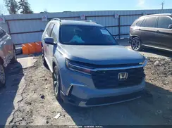 5FNYG1H86RB015101 2024 HONDA PILOT