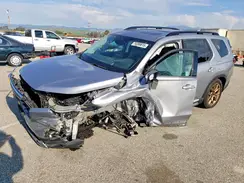 5FNYG1H86RB016281 2024 HONDA PILOT