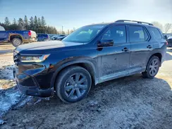 5FNYG1H86RB500306 2024 HONDA PILOT