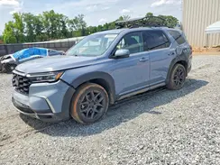 5FNYG1H87PB043633 2023 HONDA PILOT