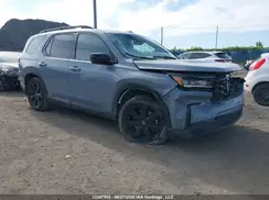 5FNYG1H87PB502790 2023 HONDA PILOT