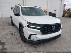 5FNYG1H87RB500332 2024 HONDA PILOT