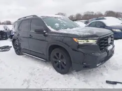 5FNYG1H88PB503706 2023 HONDA PILOT
