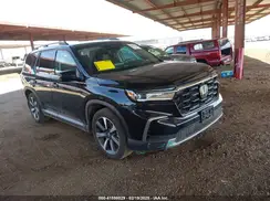 5FNYG1H88RB003841 2024 HONDA PILOT