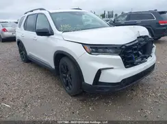 5FNYG1H88RB500629 2024 HONDA PILOT