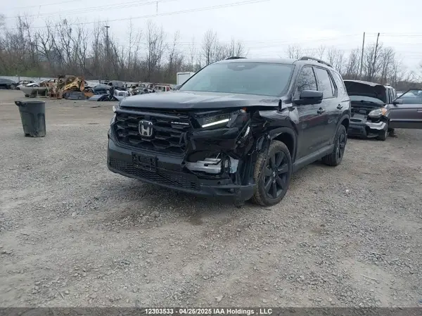 5FNYG1H88RB501280 2024 HONDA PILOT - Image 2