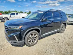 5FNYG1H89RB005551 2024 HONDA PILOT